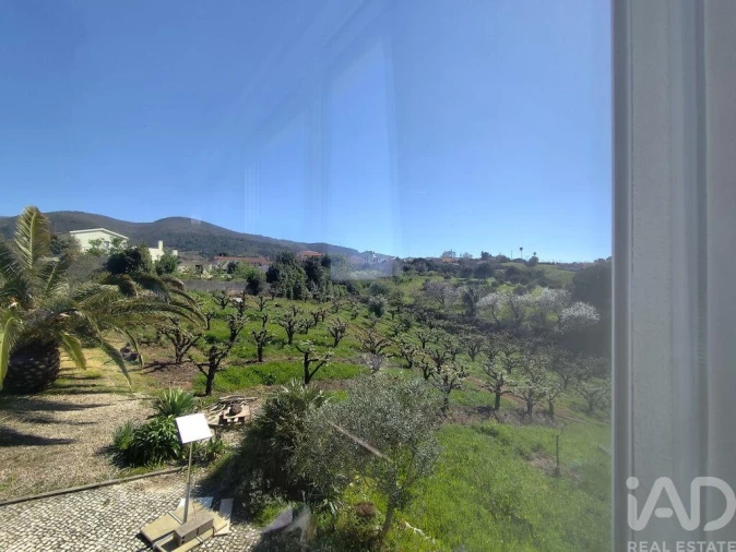 Moradia T5 para Venda em Lamas e Cercal Foto 39