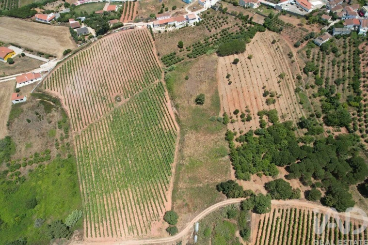 Moradia T5 para Venda em Lamas e Cercal Foto 40
