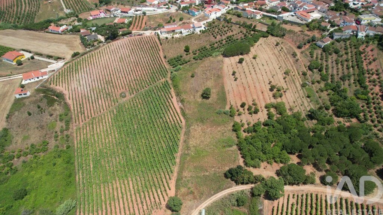 Moradia T5 para Venda em Lamas e Cercal Foto 30