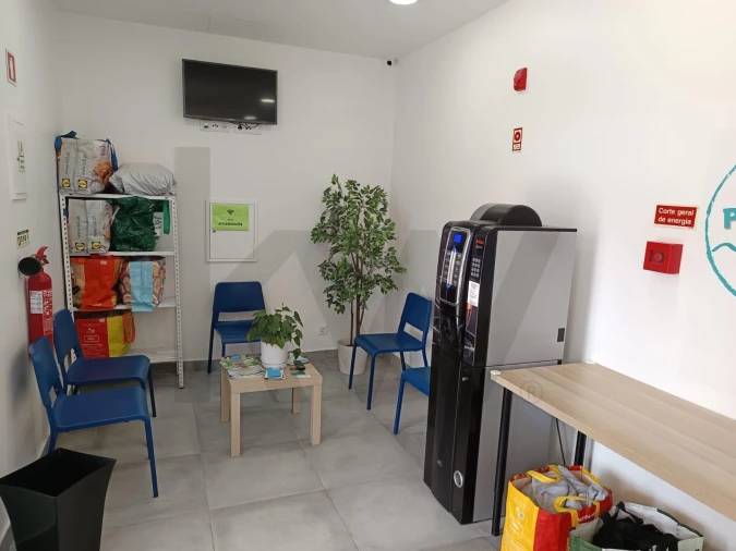 Negócio para Venda em Nossa Senhora da Vila, Nossa Senhora do Bispo e Silveiras Foto 5