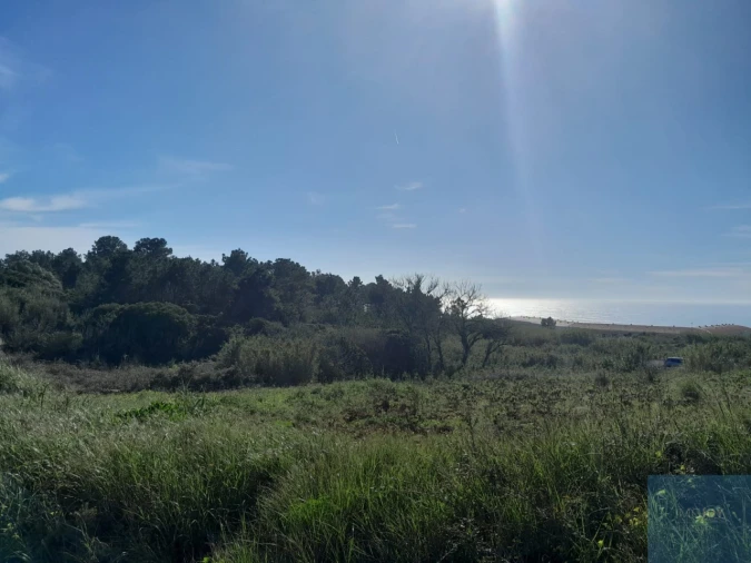 Terreno para Venda em Ericeira