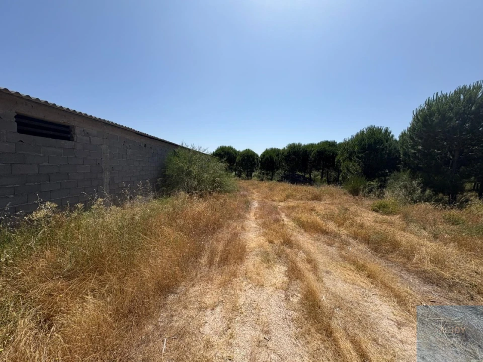 Terreno para Venda em São Vicente da Beira Foto 3
