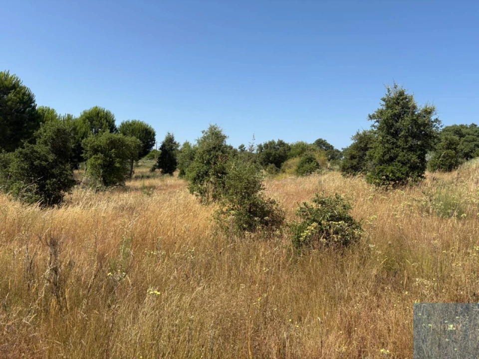 Terreno para Venda em São Vicente da Beira Foto 4