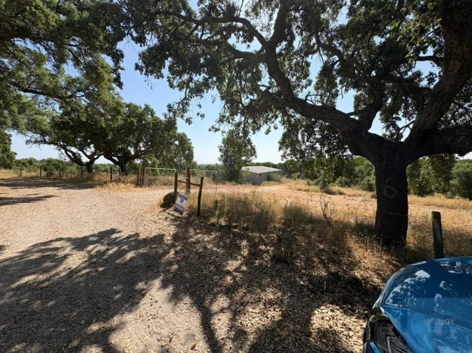Terreno para Venda em São Vicente da Beira Foto 6