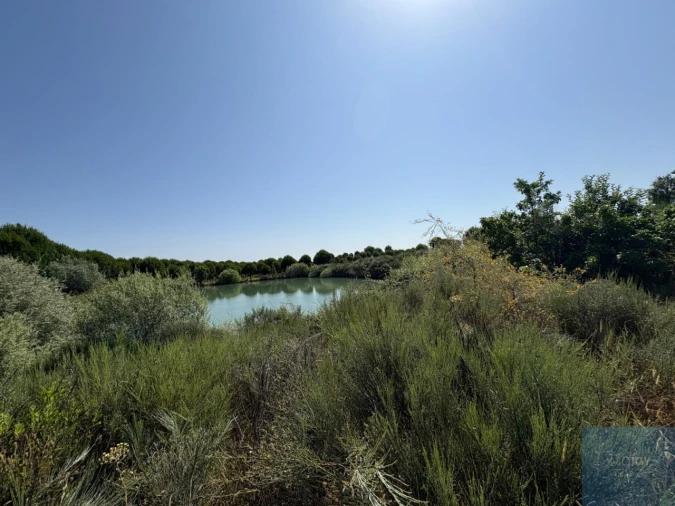 Terreno para Venda em São Vicente da Beira Foto 9