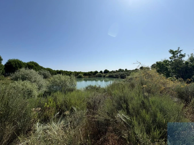Terreno para Venda em São Vicente da Beira Foto 10