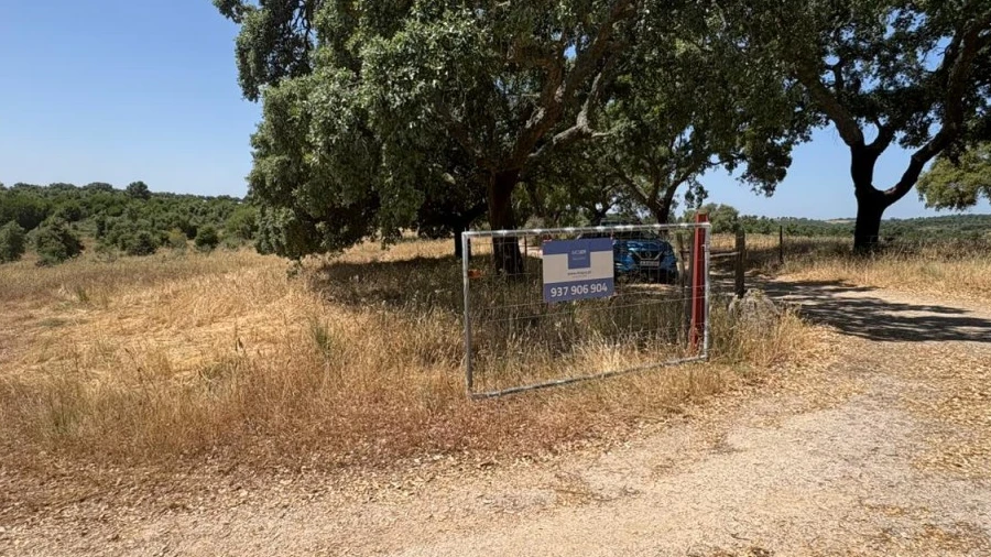Terreno para Venda em São Vicente da Beira