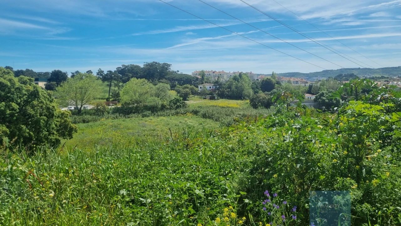 Terreno para Venda em Loures Foto 5