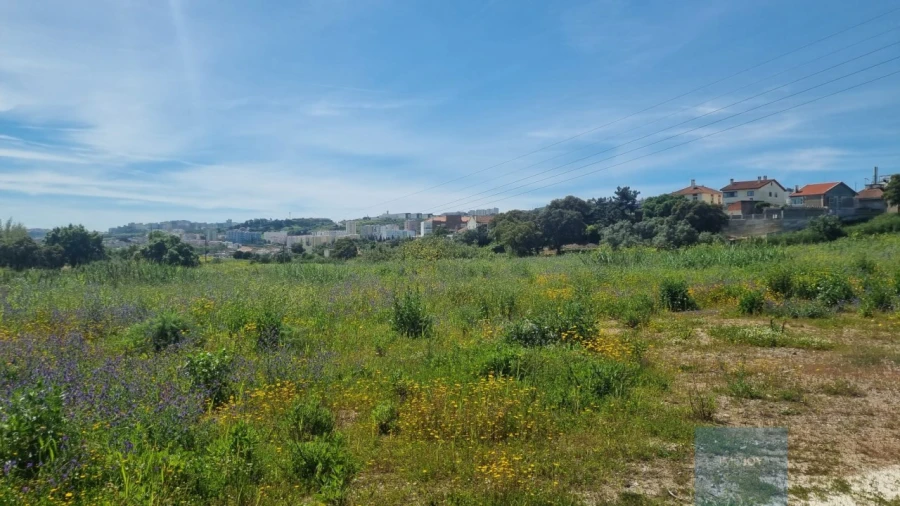Terreno para Venda em Loures Foto 2