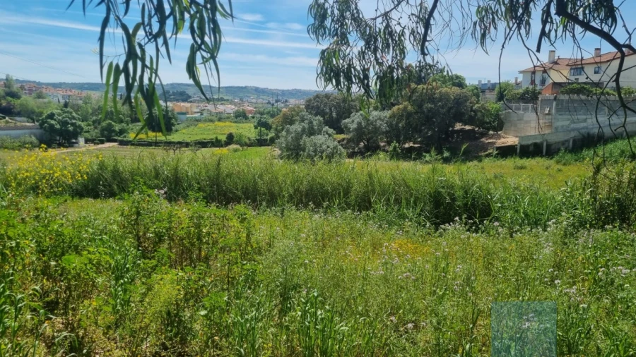 Terreno para Venda em Loures Foto 3