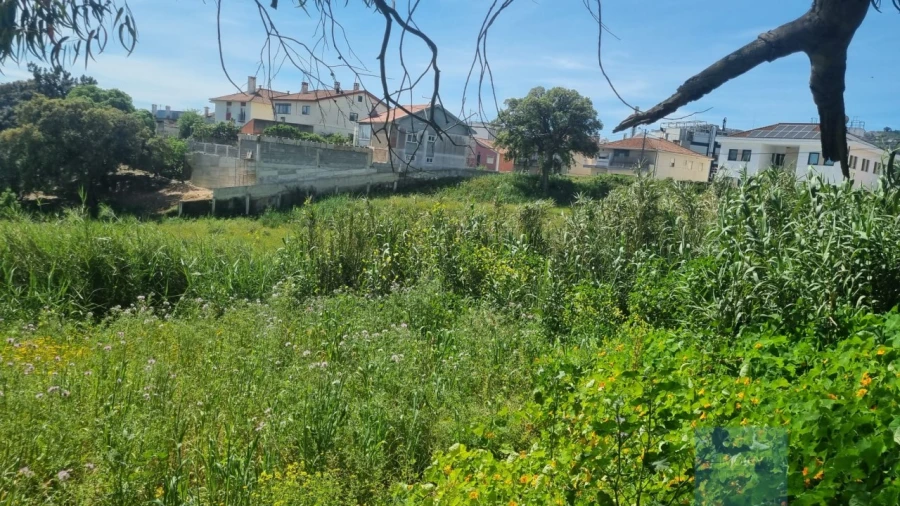 Terreno para Venda em Loures Foto 7