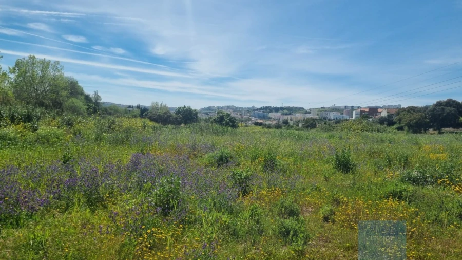 Terreno para Venda em Loures