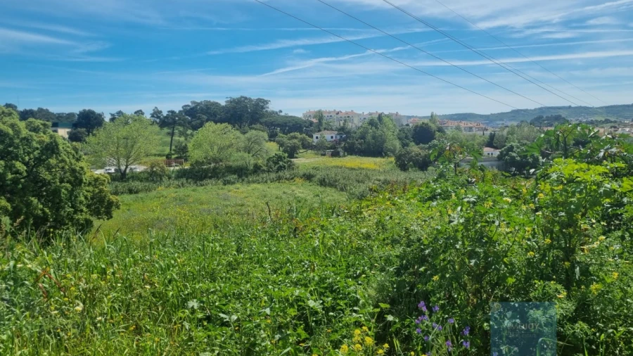Terreno para Venda em Loures