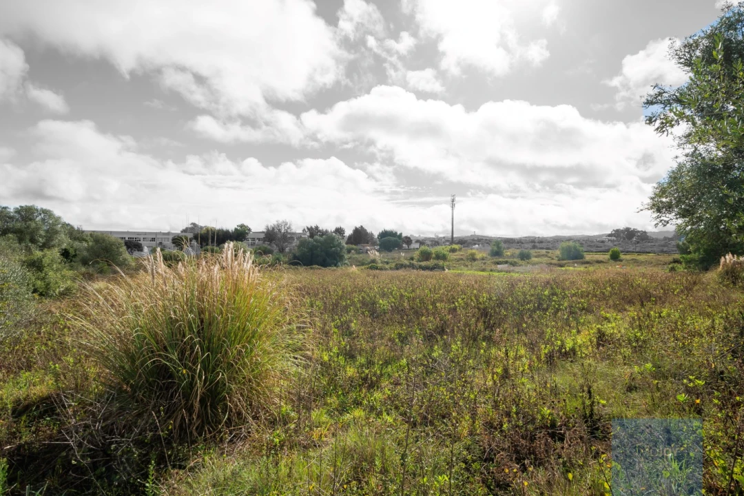 Terreno para Venda em São João das Lampas e Terrugem Foto 9
