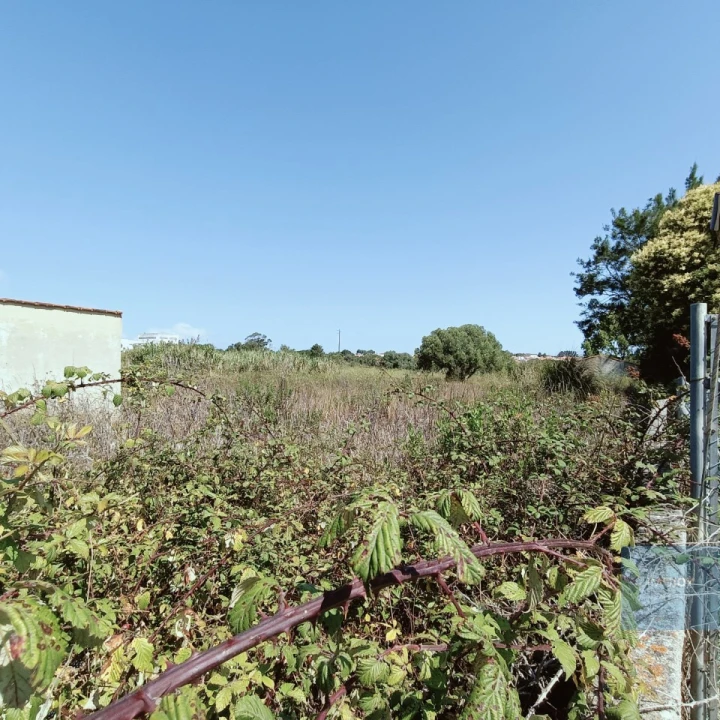 Terreno para Venda em São João das Lampas e Terrugem Foto 17