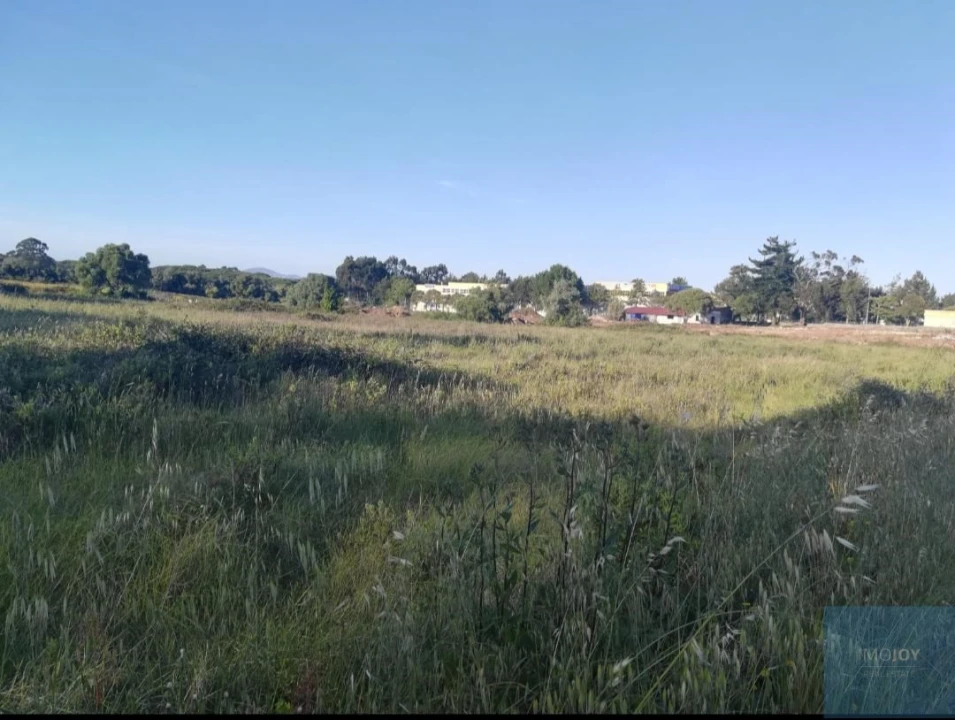 Terreno para Venda em São João das Lampas e Terrugem Foto 3
