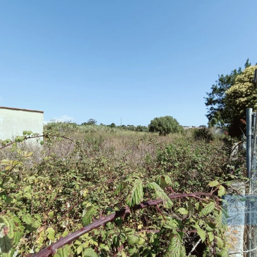 Terreno para Venda em São João das Lampas e Terrugem Foto 17