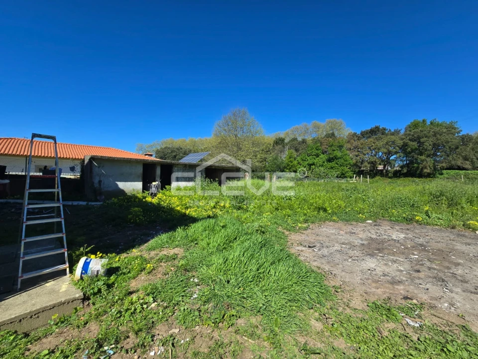 Moradia T3 para Venda em Santa Maria de Lamas Foto 4