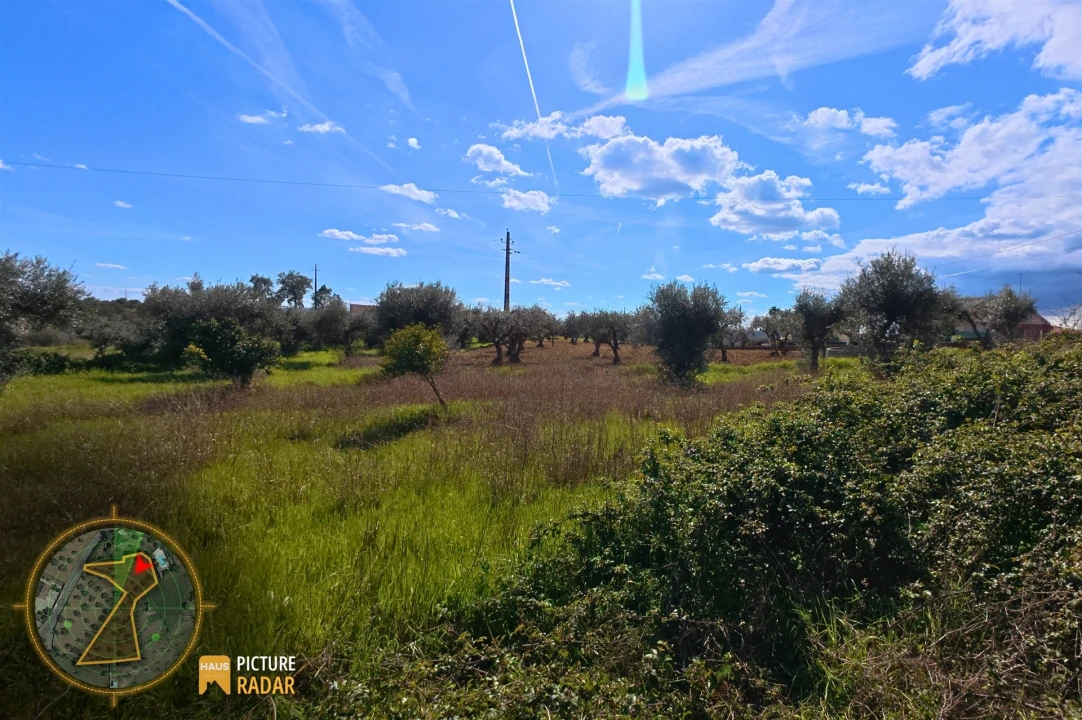 Terreno Agricola ou Rústico para Venda em Salgueiro do Campo Foto 19