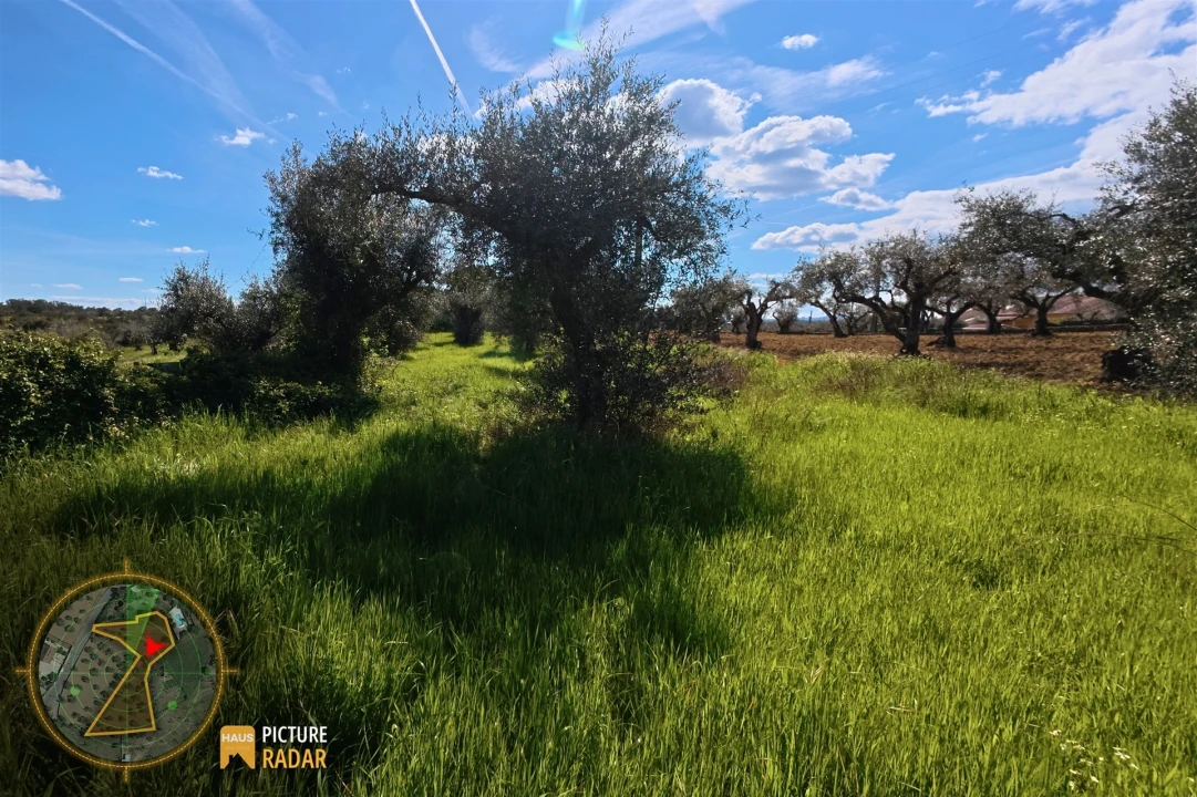 Terreno Agricola ou Rústico para Venda em Salgueiro do Campo Foto 10