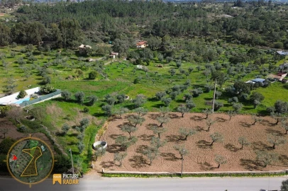 Terreno Agricola ou Rústico para Venda em Salgueiro do Campo