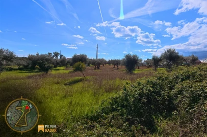 Terreno Agricola ou Rústico para Venda em Salgueiro do Campo