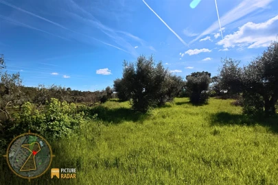 Terreno Agricola ou Rústico para Venda em Salgueiro do Campo