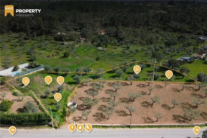 Terreno Agricola ou Rústico para Venda em Salgueiro do Campo