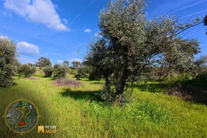 Terreno Agricola ou Rústico para Venda em Salgueiro do Campo