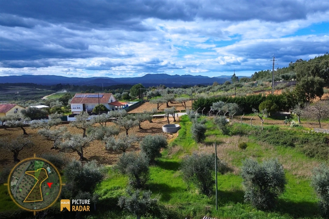 Terreno Agricola ou Rústico para Venda em Salgueiro do Campo Foto 18