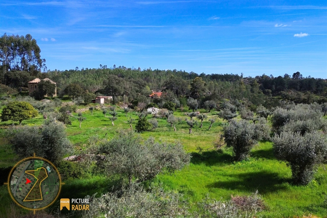 Terreno Agricola ou Rústico para Venda em Salgueiro do Campo Foto 17