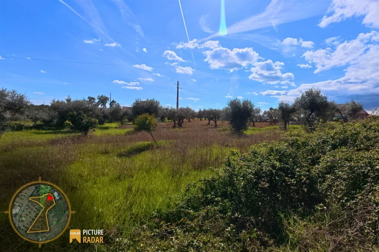 Terreno Agricola ou Rústico para Venda em Salgueiro do Campo Foto 19