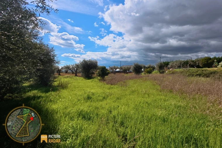 Terreno Agricola ou Rústico para Venda em Salgueiro do Campo Foto 13
