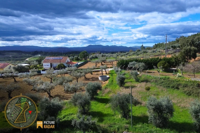 Terreno Agricola ou Rústico para Venda em Salgueiro do Campo Foto 18