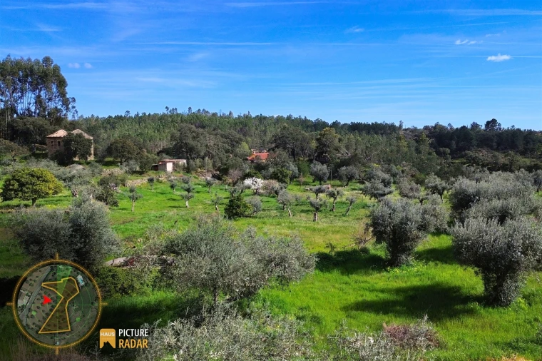 Terreno Agricola ou Rústico para Venda em Salgueiro do Campo Foto 17