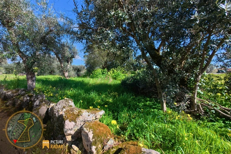 Terreno Agricola ou Rústico para Venda em Salgueiro do Campo Foto 8