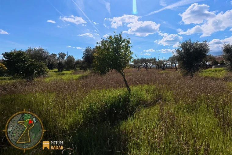 Terreno Agricola ou Rústico para Venda em Salgueiro do Campo Foto 20