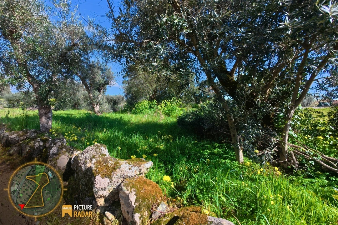 Terreno Agricola ou Rústico para Venda em Salgueiro do Campo Foto 8