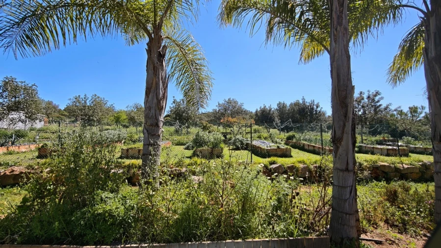 Moradia T5 para Venda em Albufeira e Olhos de Água Foto 75