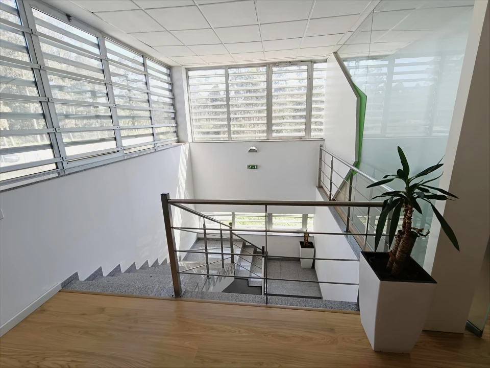 Negócio para Venda em Malta e Canidelo Foto 7