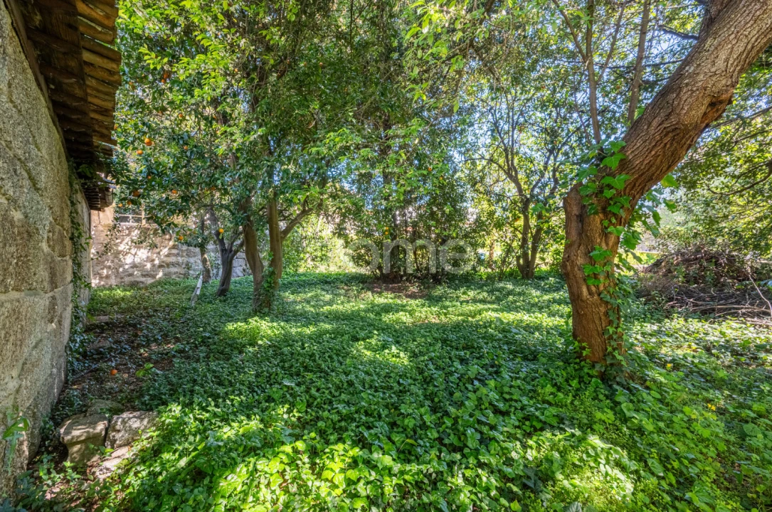 Moradia T6 para Venda em Oliveira, São Paio e São Sebastião Foto 20