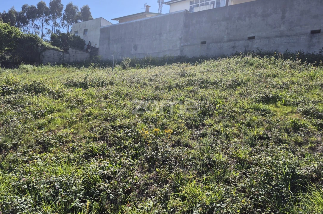 Terreno para Venda em Coronado (São Romão e São Mamede) Foto 7