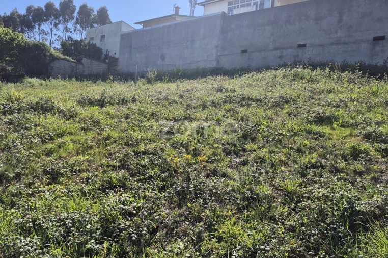 Terreno para Venda em Coronado (São Romão e São Mamede) Foto 7