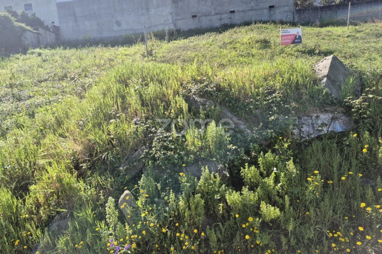 Terreno para Venda em Coronado (São Romão e São Mamede) Foto 10