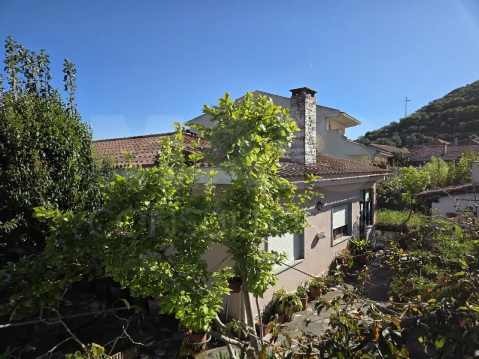 Moradia T3 para Venda em Moitas Venda Foto 2