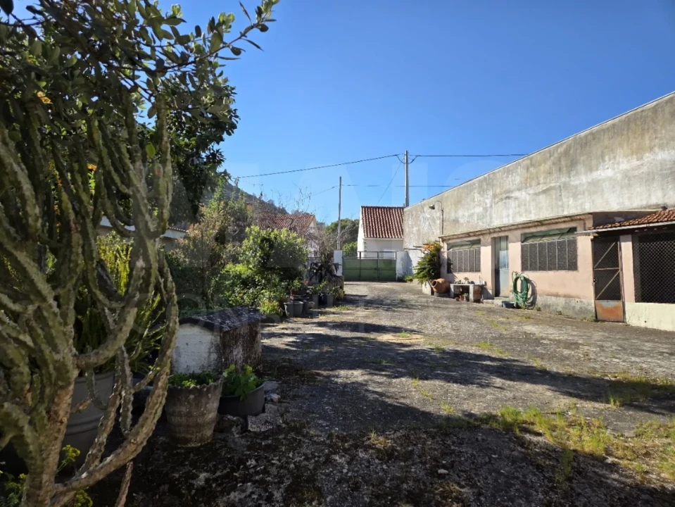 Moradia T3 para Venda em Moitas Venda Foto 3