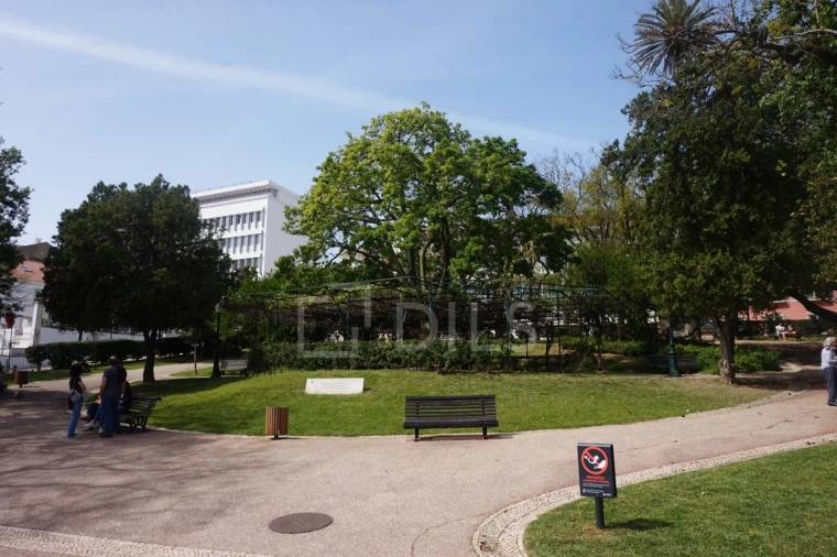 Apartamento T3 para Venda em Alcantara Foto 18