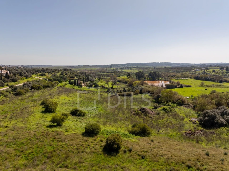 Terreno para Venda em Mexilhoeira Grande Foto 10