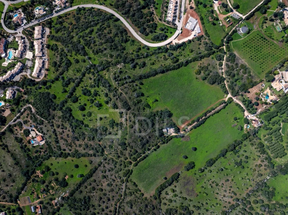 Terreno para Venda em Mexilhoeira Grande Foto 14