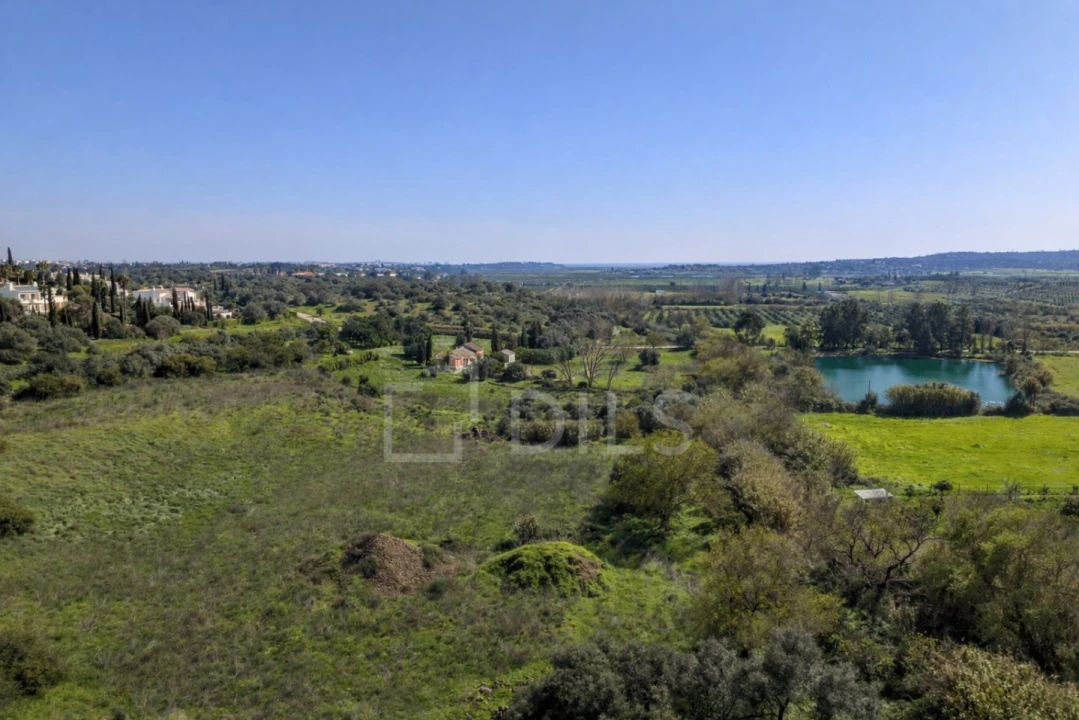 Terreno para Venda em Mexilhoeira Grande Foto 11